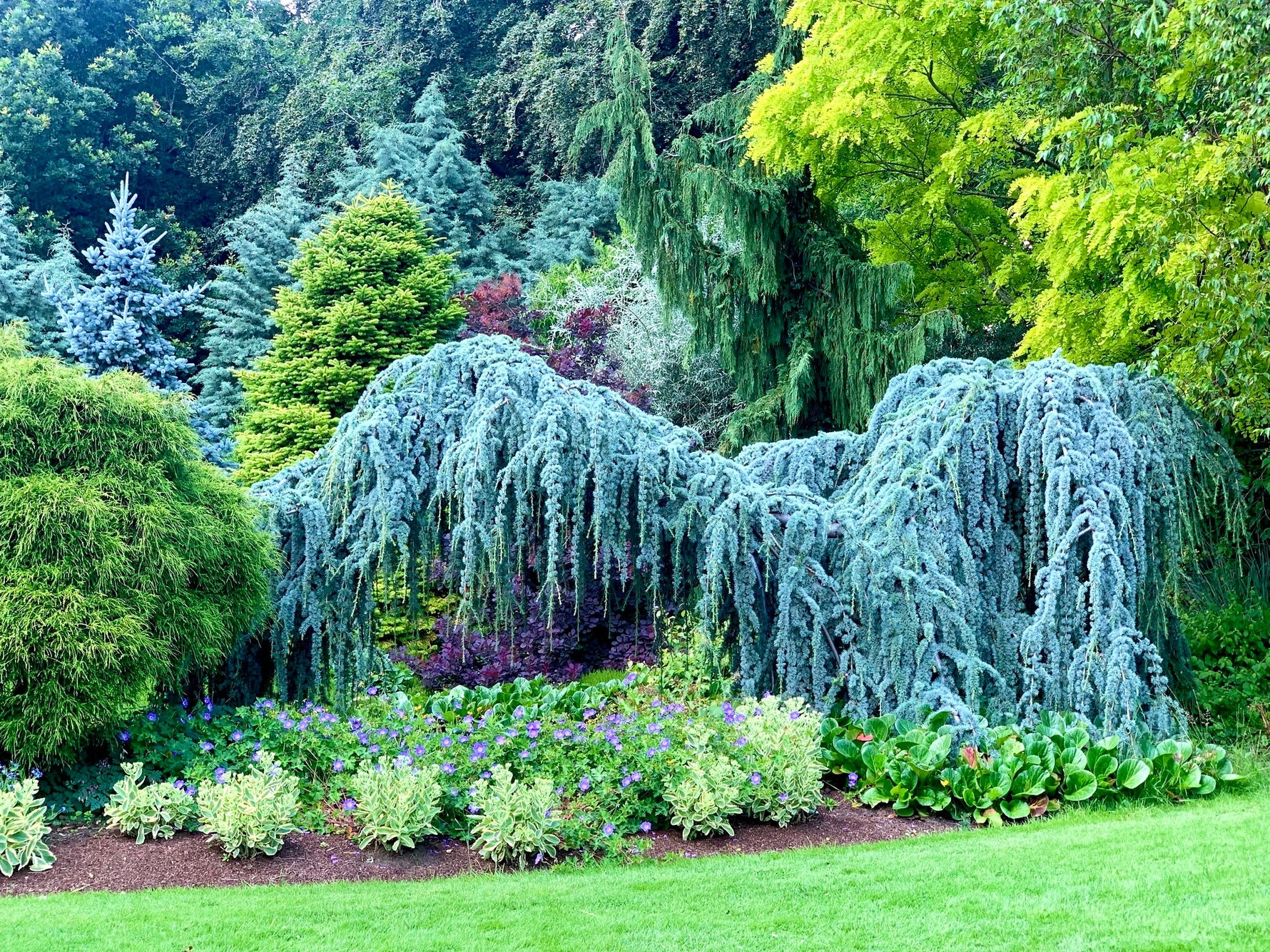 The Complete Guide to Leaky Pipe Combination Kits