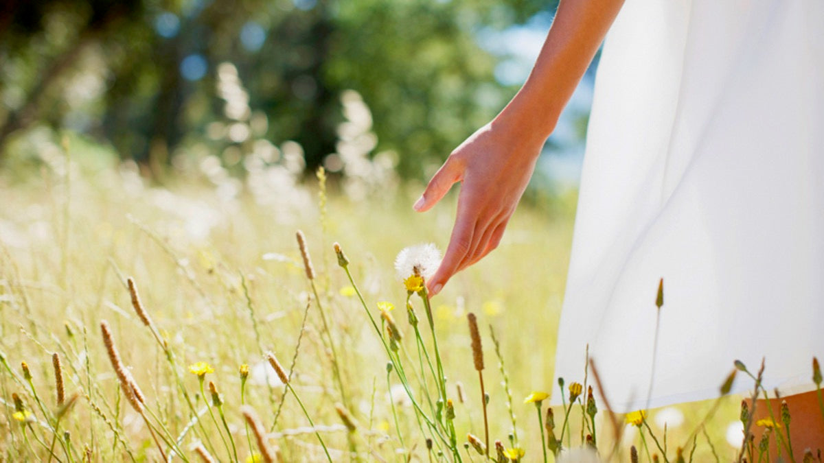 How to water your garden efficiently in a Hosepipe ban