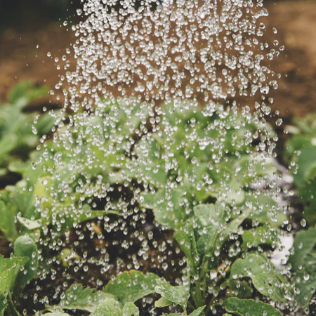 garden watering sprinkler