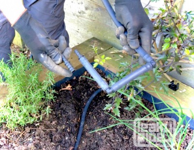 hedge watering with leakypipe